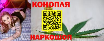 jwh Новозыбков