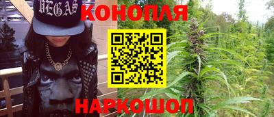 jwh Новозыбков
