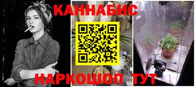 jwh Новозыбков