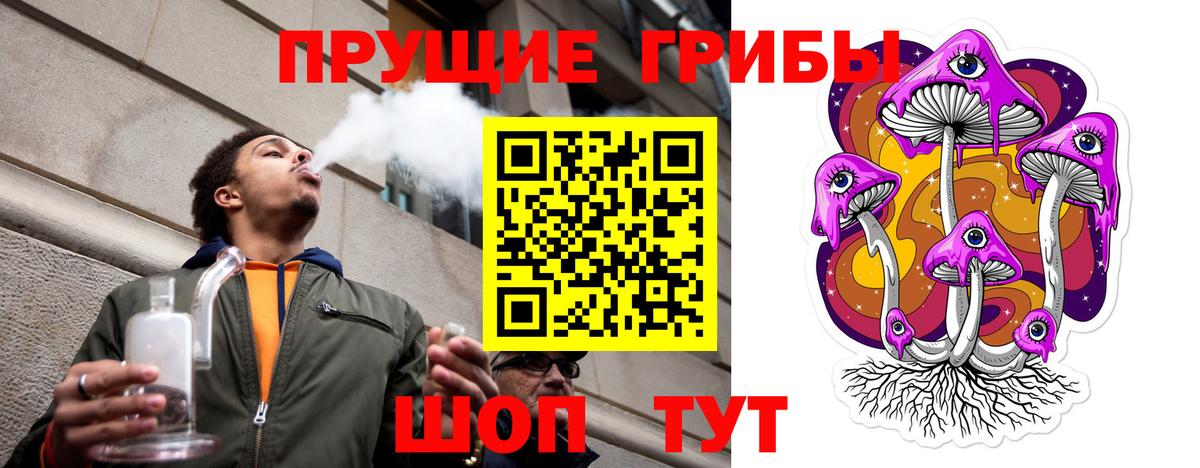 МЕФ Торжок